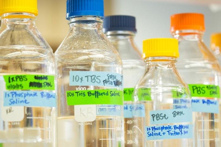 McLean Received $13.5 Million Grant for Translational Stress Research