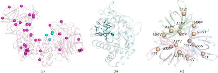 Fig. 2  Representative applications of evolution-guided atomistic design.