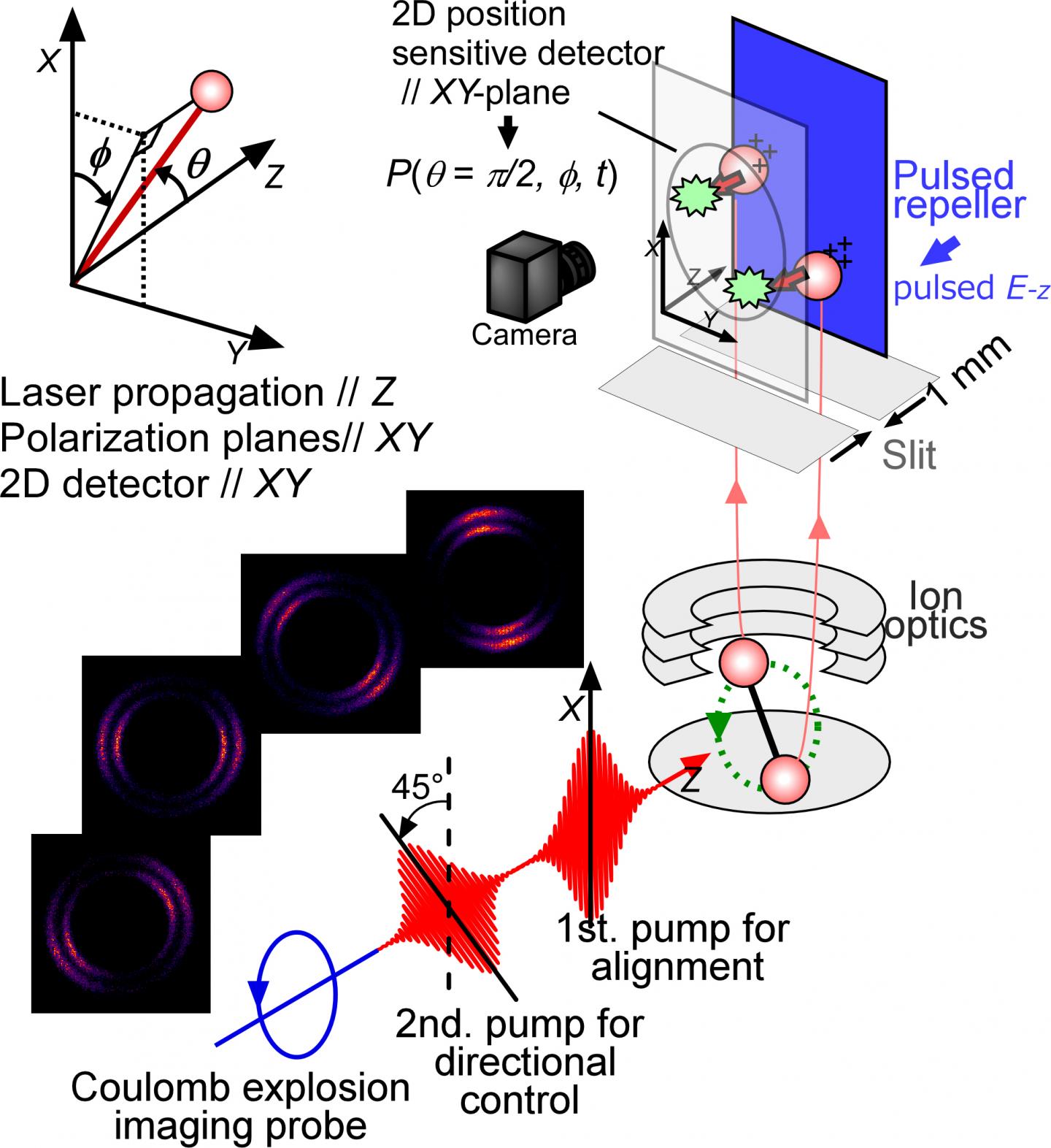 Imaging the Wave-like Nature of Quantum Rotation (2 of 2)