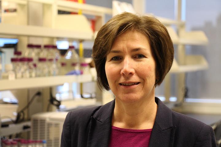 Dr. Cheryl Arrowsmith, Senior Scientist, Princess Margaret Cancer Centre