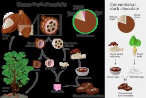 Utilisation of entire cocoa fruit