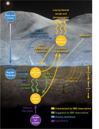 Lunar Water Cycle Infographic