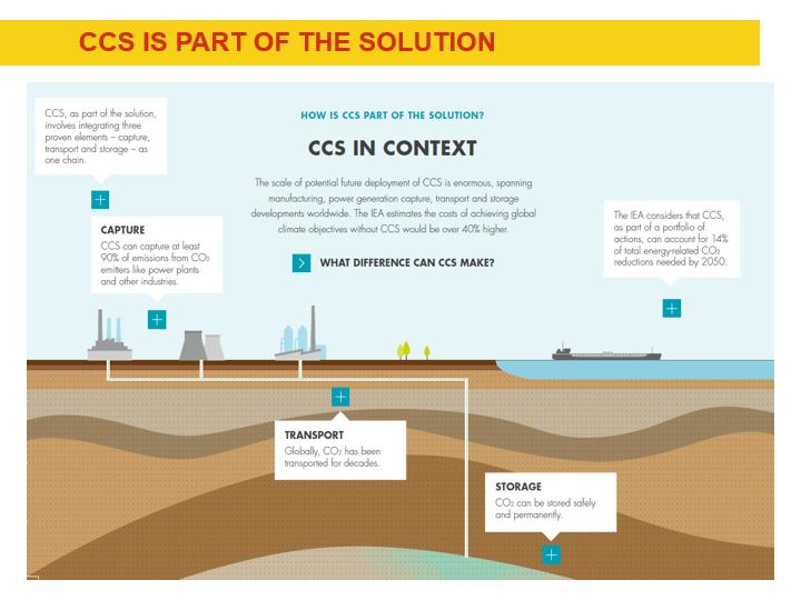 CCS Infographic
