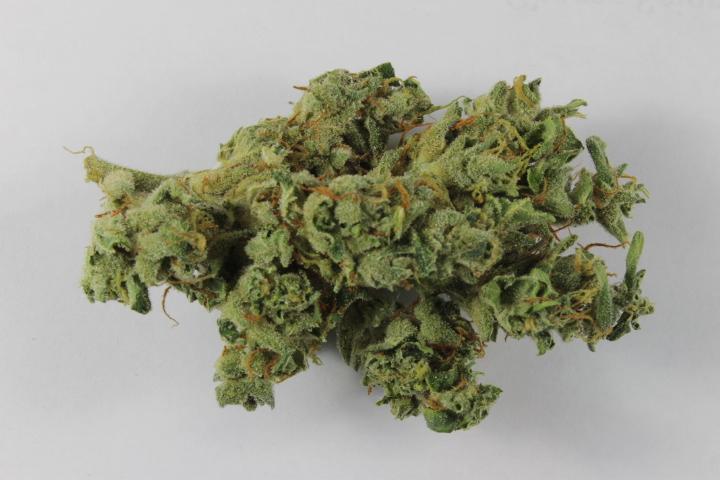 Legalizing Marijuana and the New Science of Weed (Video)