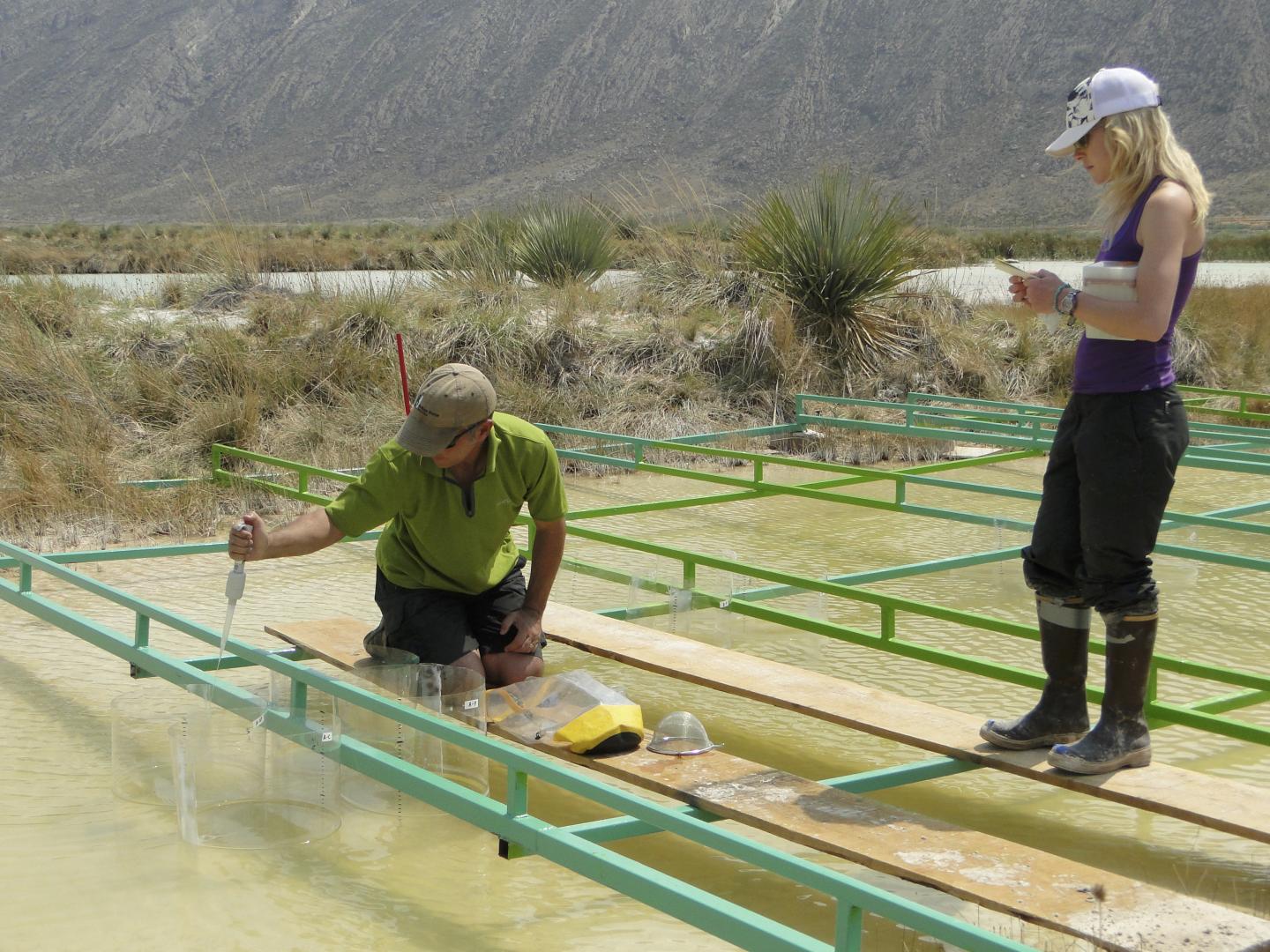 Water Sample Collection