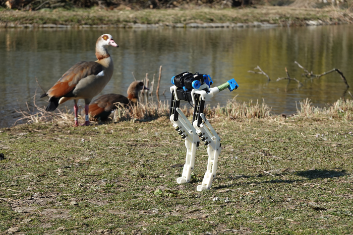 BirdBot with Bird