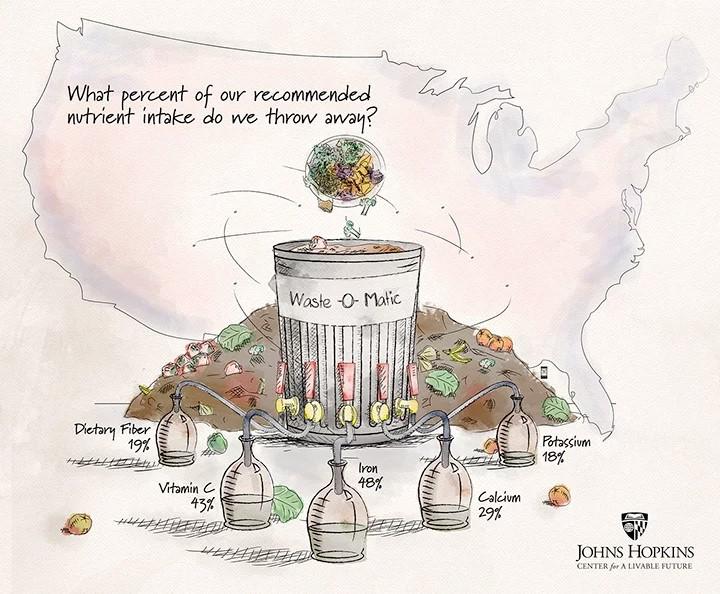 Wasted Nutrients: The Result of Widespread Food Waste