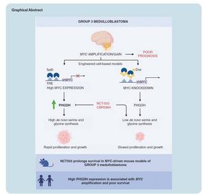 Graphical abstract