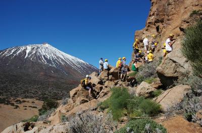 Southampton Student Fieldwork