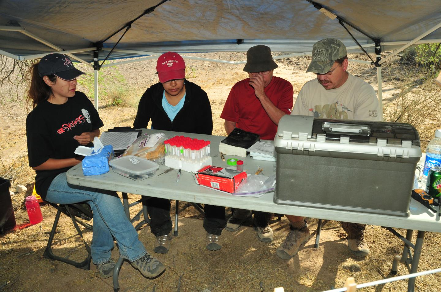 Kofa NWR in Arizona, University of New Mexico 