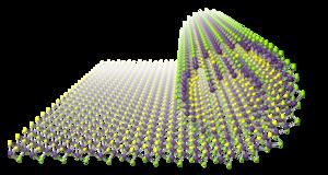 Janus nanosheets rolled into nanoscrolls.