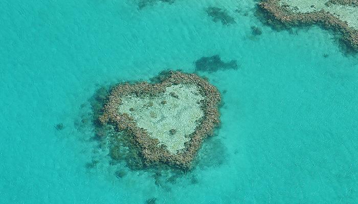 Heart reef