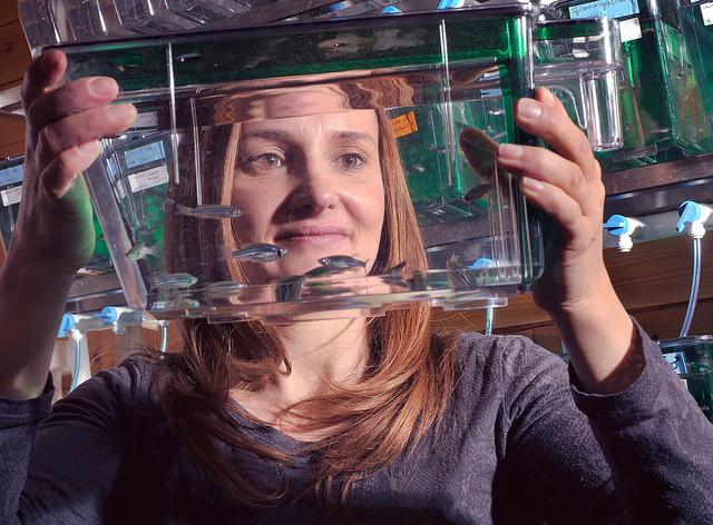 Sandra Rieger, MDI Biological Laboratory