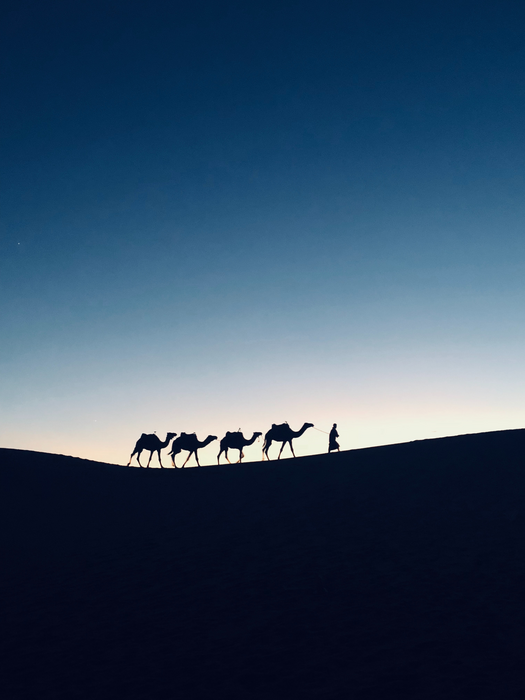 Silk Road