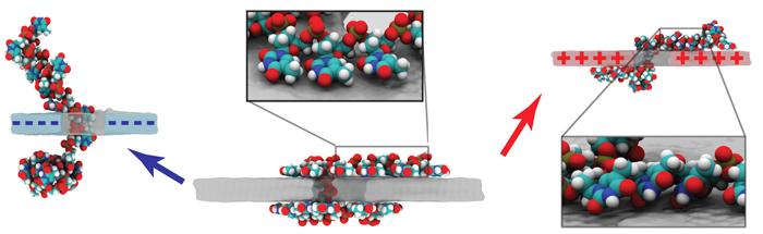 DNA and Charged Graphene Nanopore