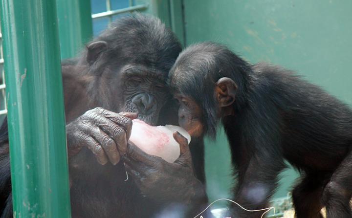 Sharing a Treat