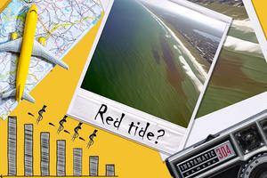 Economic Impact of Red Tide