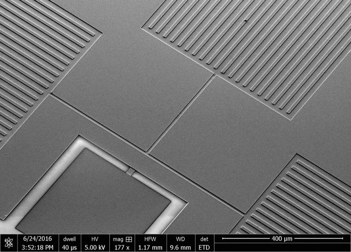 A Scanning Electron Microscopic Image of the T-Shaped Microchannel Device