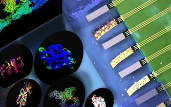 Biomolecular Sensing Using MOSFET