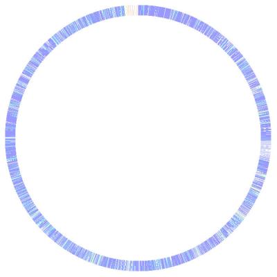 Map of Genome Sequence for <i>E. coli </i>Strain