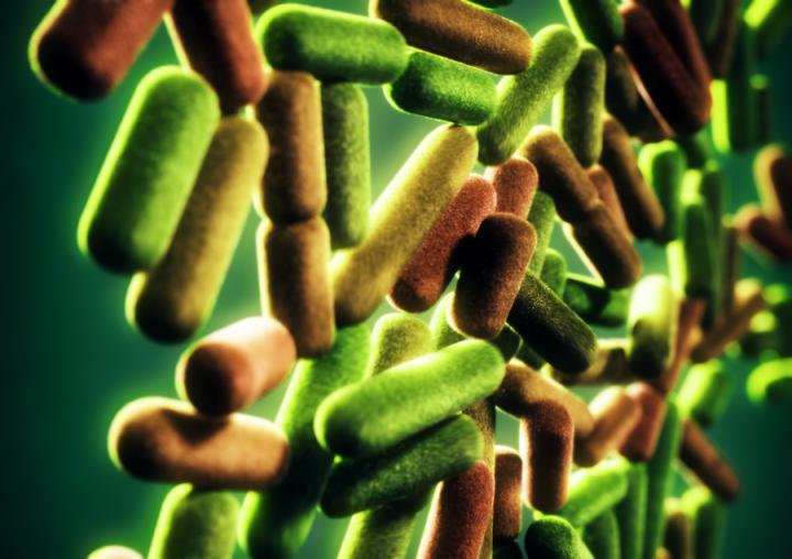 Population Growth in Single-Cell Organisms