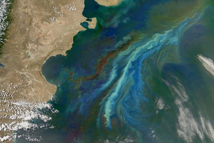 Patagonia phytoplankton bloom