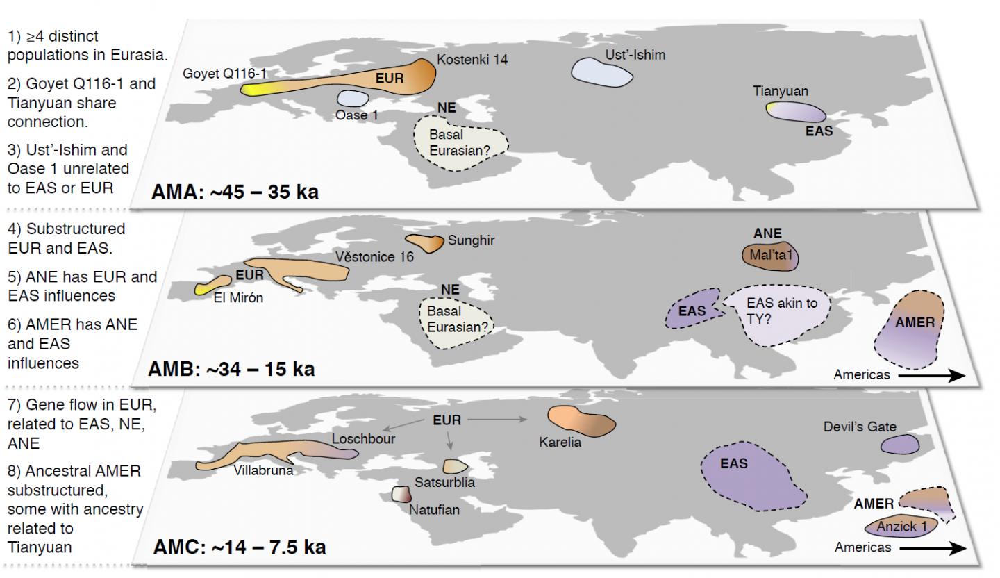 Ancient Populations in Eurasia