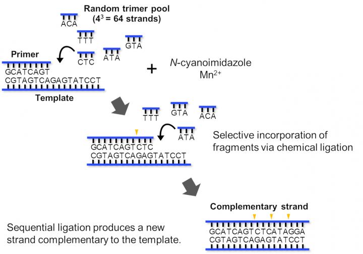 Origins of life (Figure 2)