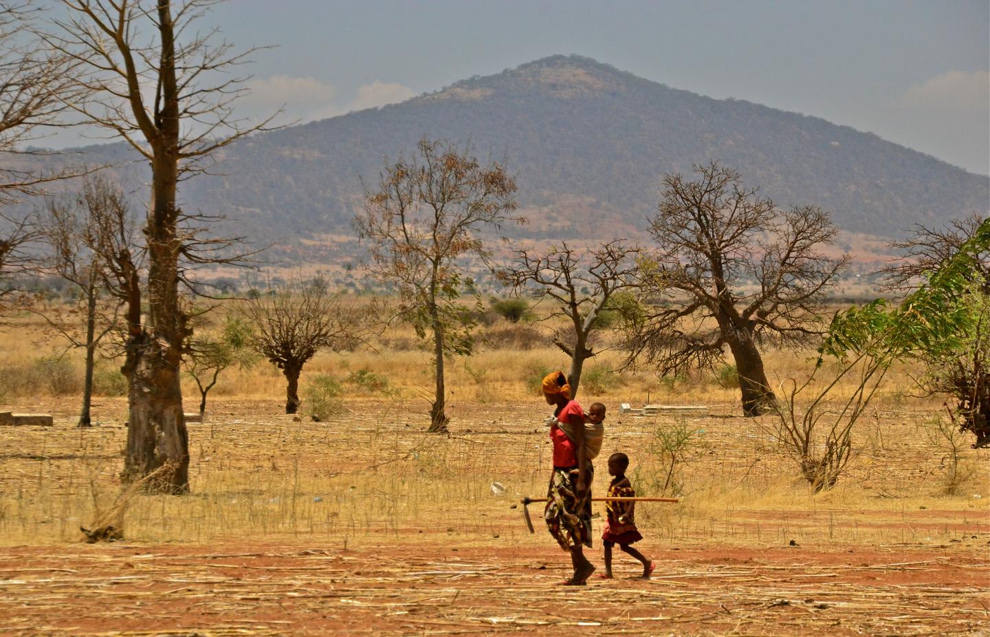 Climate Change is Hurting Children's Diets, Global Study Finds