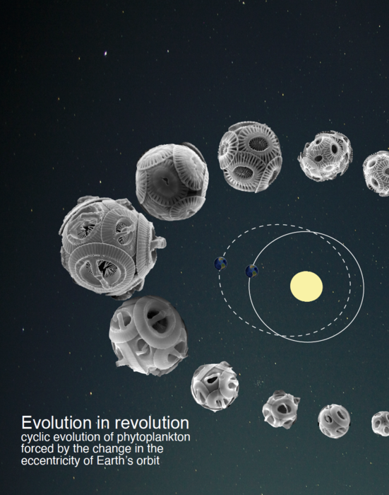 Emergence of new species of the coccolithophere