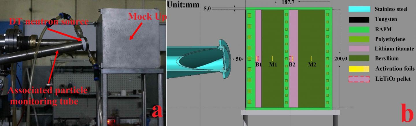 Researchers Measure Tritium Production Rates in Mock-up of Water-cooled Ceramic Breeder Blanket