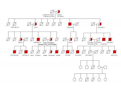 'Royal Disease' Was Hemophilia B (6 of 6)