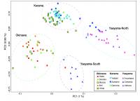 Genome Analysis Of Coral Samples Collected From The Kerama, The Okinawa, The Yaeyama Islands