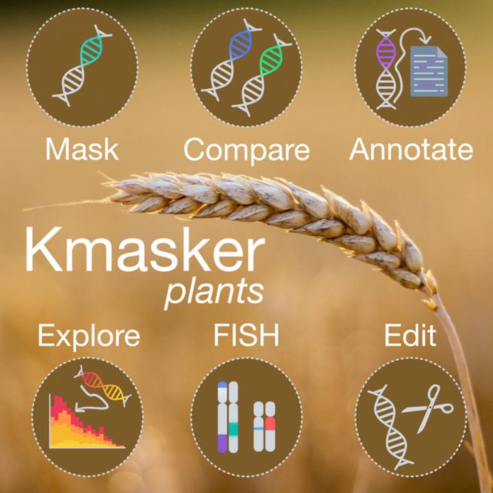 What Short Sequence Pieces (K-mer) Reveal