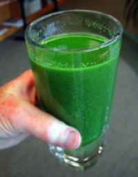 Glass of Green Water from Lake Erie during the Algae Bloom