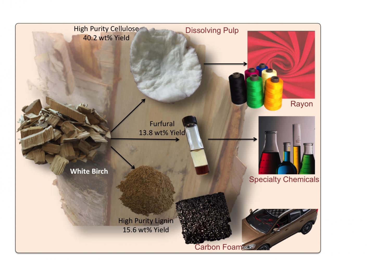 Transforming Wet Wood Chips into Valuable Fuels and Chemicals (2 of 7)