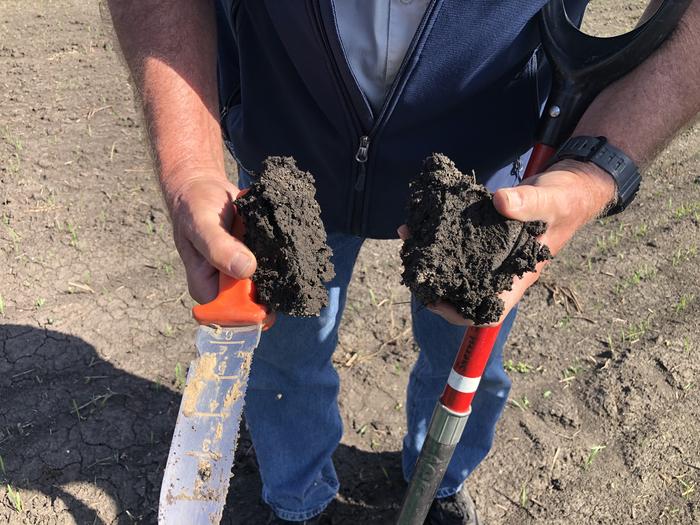 Soil structure comparison