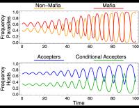 Mafia-like Behavior Birds