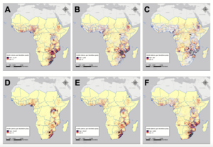 Health Care in Rural Africa