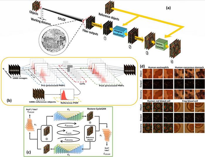 Principle of the Restore-CycleGAN-GALOF imaging method.