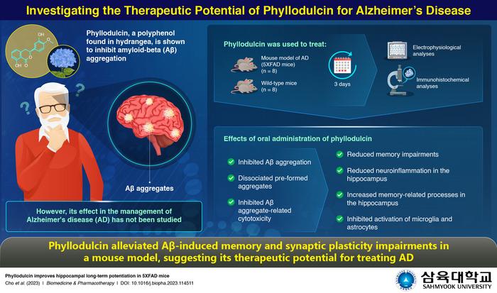 Phyllodulcin demonstrates potential as a natural therapeutic agent for Alzheimer’s disease