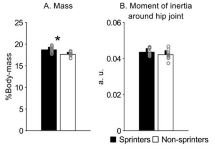 Legs of sprinters have well-developed muscles, but they are efficiently maneuverable from an inertial perspective.