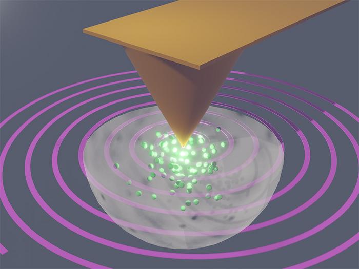 High-speed imaging of electric charge