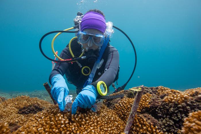 Decolonizing ocean science