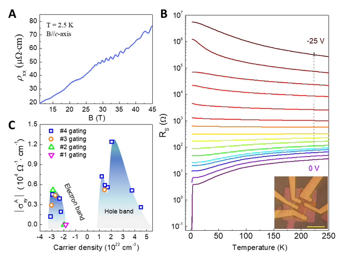 Scientists Discover Electrically Tunned Superconductor-insulator Transition and Giant Anomalous Hall Effect in CsV3Sb5