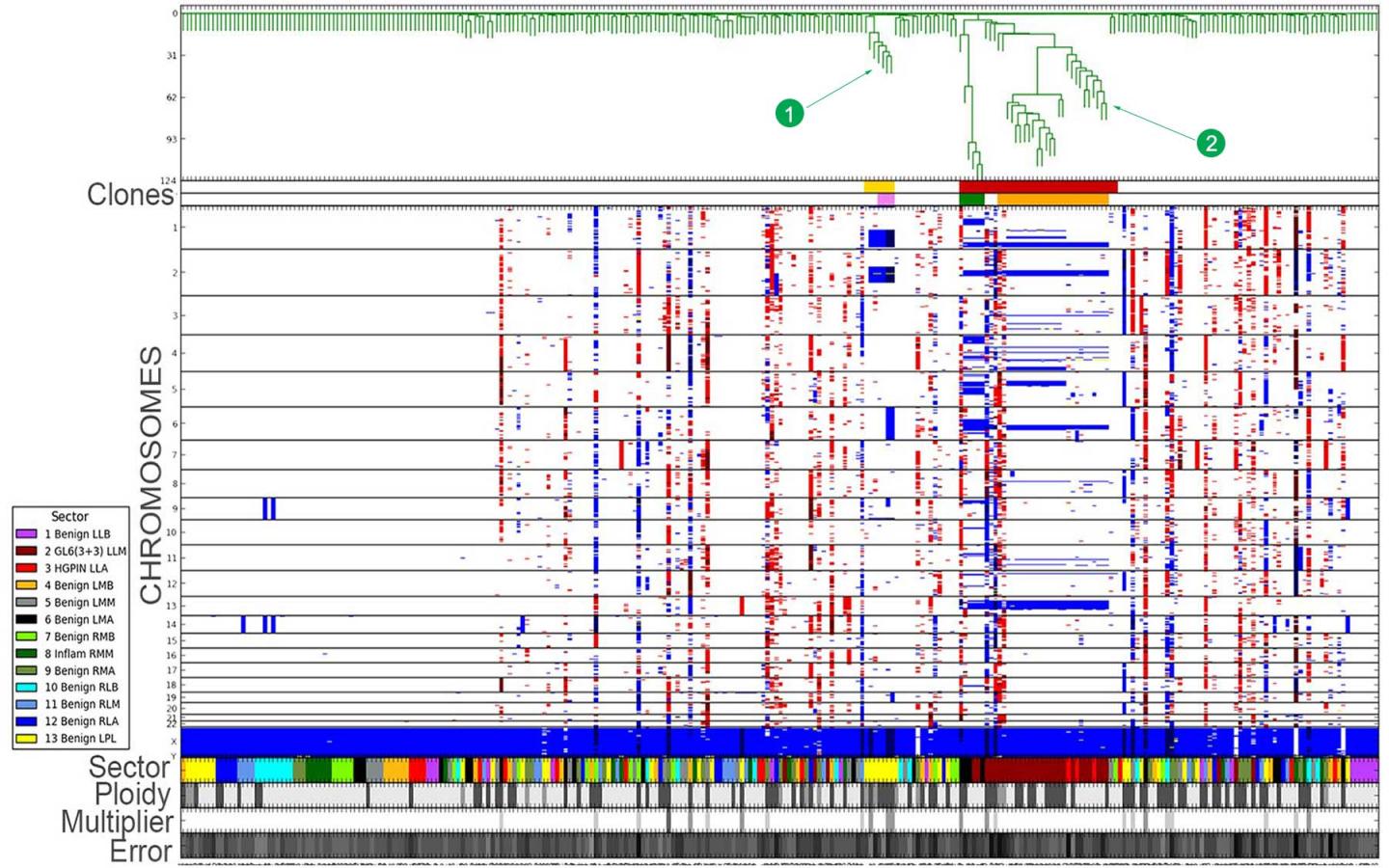 Scanning a Prostate for Dangerous Mutations
