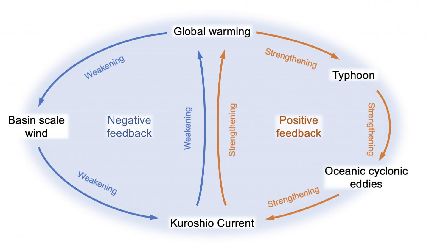 Stronger Tropical Cyclones Strengthen the Kuroshio Current, Further Heating High Latitudes (2 of 2)