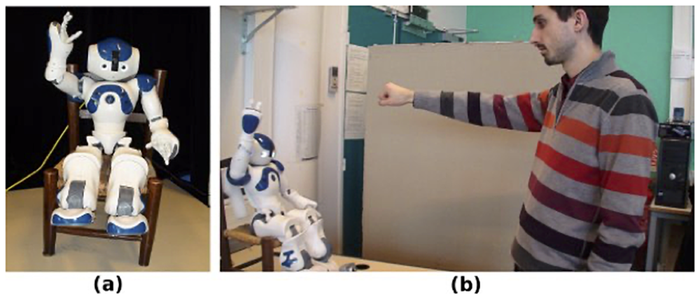 Fig 1. Experimental setup. (a) the NAO robot, (b) NAO Interacting with a human subject.