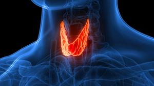 Biointegrated Implantable Systems for Cell-based Sensing and Therapy Thyroid Target Area