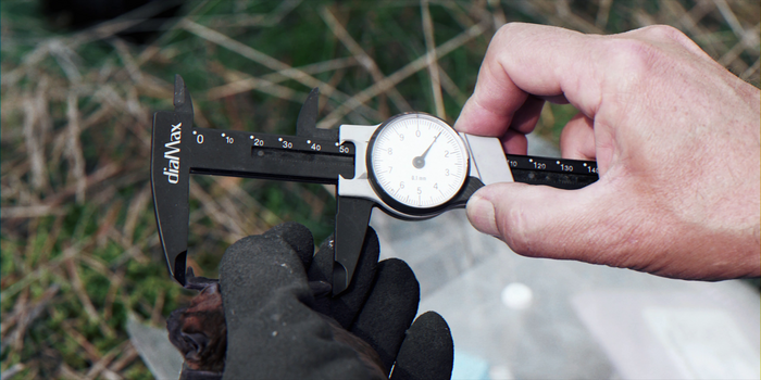 Dr. Christian Voigt conducting fieldwork at wind energy sites in Brandenburg forests, Germany